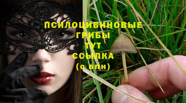 хмурый Алексин