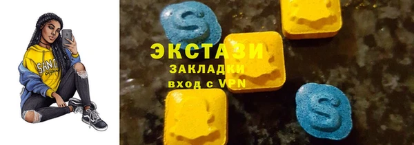 хмурый Алексин