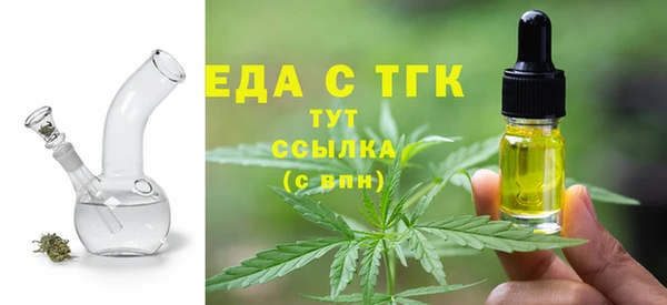 хмурый Алексин