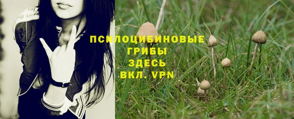 шишки Алзамай