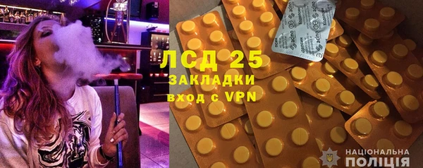 хмурый Алексин